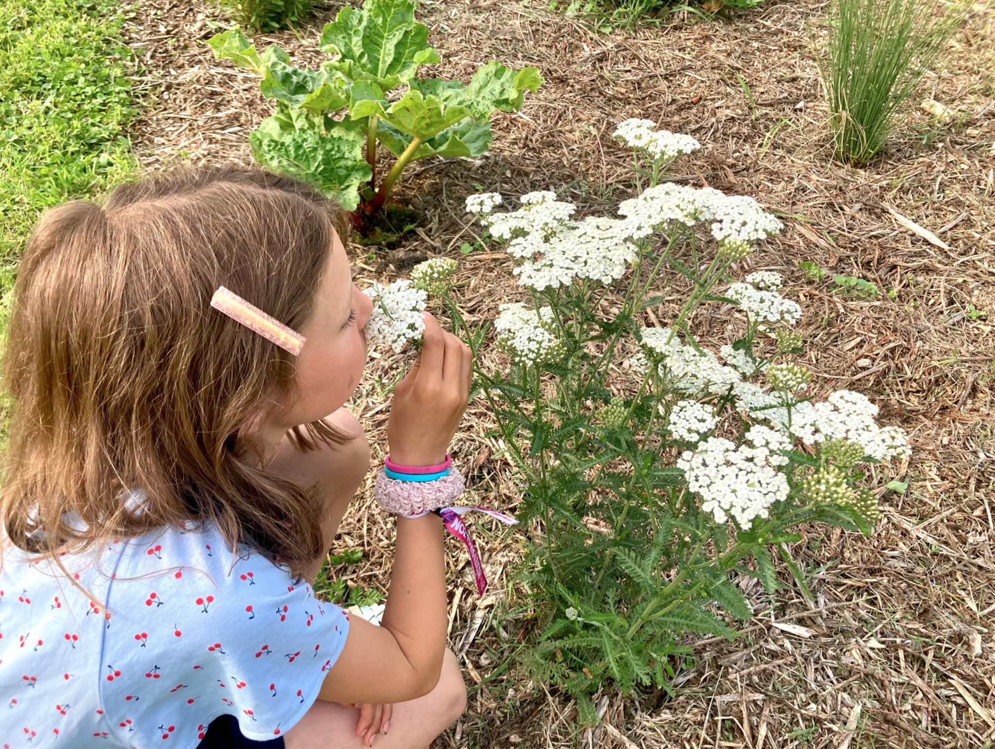 Fleurs sauvages et zones naturelles à ESCUNA