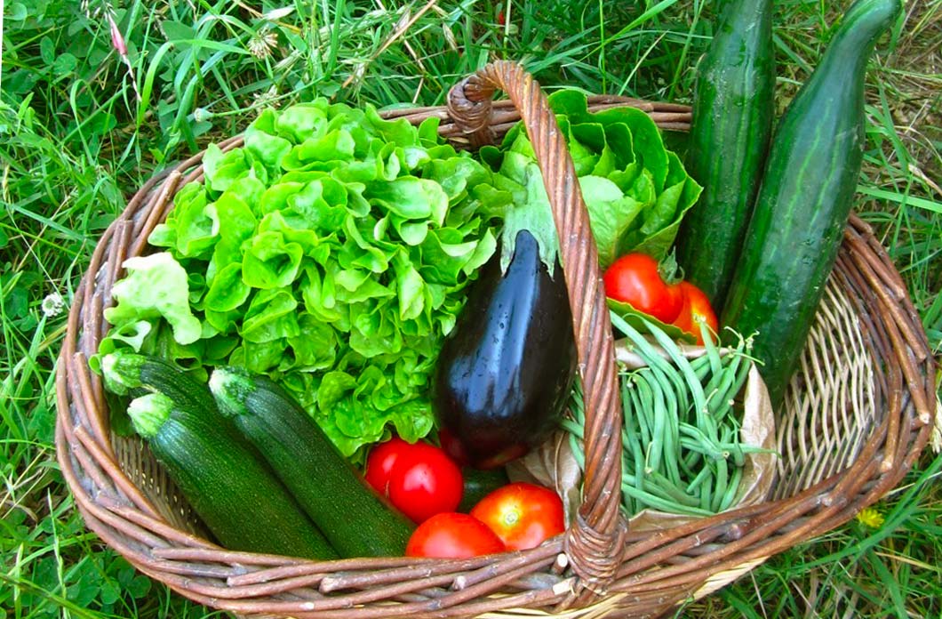 Potager en permaculture à ESCUNA près de Lille